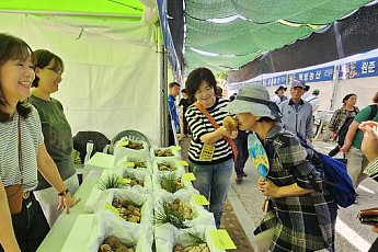 30돌 맞은 봉화송이축제 개막…할인 혜택·먹거리로 관광객 맞이