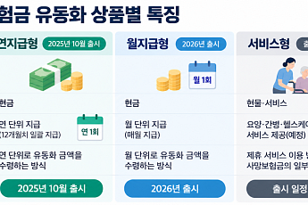 사망보험금으로 간병·요양 받는다더니… '서비스형' 연내 출시 불투명