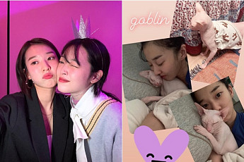 김선아, 故 설리 반려묘와 함께한 7년⋯“네가 남긴 내 삶의 빛”