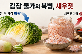 배추값 걱정 덜었더니 새우젓 32%↑…김장 물가 복병 된 젓갈