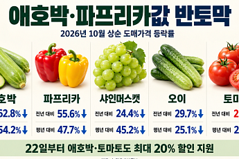 애호박·파프리카값 반토막…정부, 할인 카드로 ‘농가 구하기’