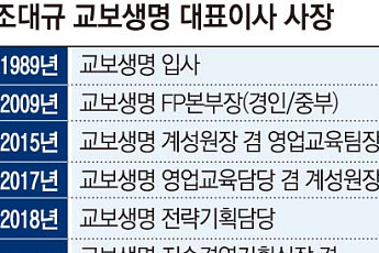 조대규 교보생명 대표, 본업 성장에 지주사 전환까지⋯'교보맨'의 승부수 [보험 CEO 연임 레이스 ②]