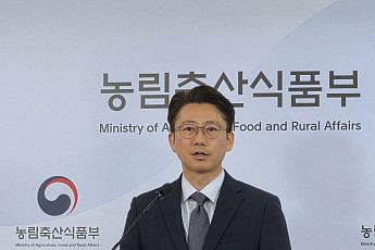 해명해도 번지는 ‘브라질산 계란 괴담’…농식품부, 악성 게시물에 법적 대응 검토