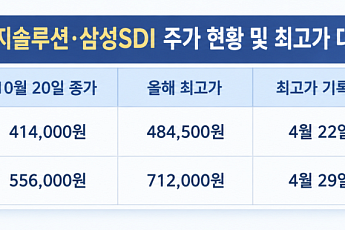 전기차 찬바람에 고점 찍고 22% 꺾인 배터리주...증권가 “ESS가 판 바꿨다”