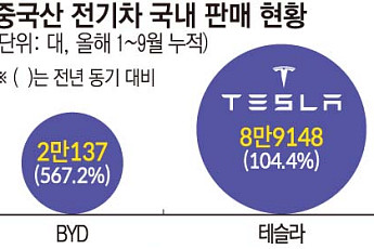 보조금 받아 中 전기차 산다…완성차업계 “생산 지원은 달라야” [제조업 지원 대전환]