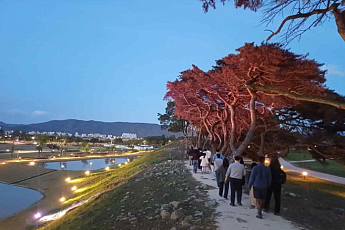 국립공원도 '밤산책' 시대…경주·북한산 등 야경 투어 첫선