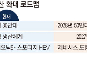[단독]세계 3위 현대차의 고육지책⋯美 조지아공장 3교대ㆍ80만대 체제 총력전 [韓 자동차 생태계 빨간불 上 ①]