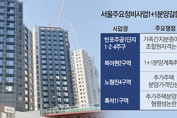 “두 채 받는 줄 알았는데”⋯서울 정비사업 곳곳 '1+1 분양' 갈등