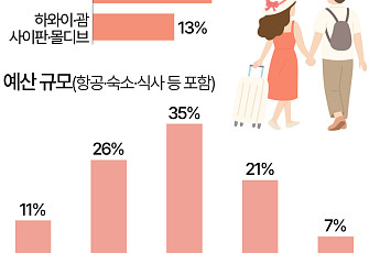 신혼여행 어디로 가길래…10명 중 6명 '800만원 이상' [데이터클립]