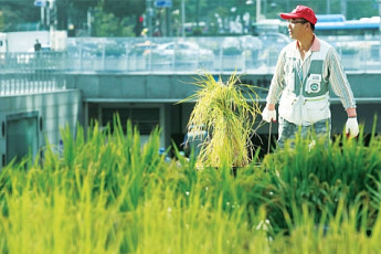 [농촌에 살어리랏다]도시인의 로망 귀농·<b>귀촌</b>… 지난해 3만여명 ‘농촌 앞으로’