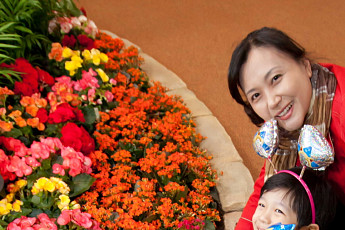 [출판]힐링도서 열풍… ‘치유’ 혹은 ‘도피’