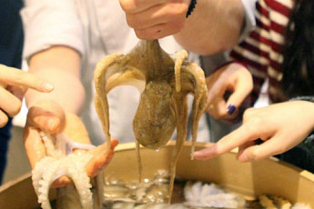 ‘생생정보통’ 주꾸미 낚시 배 VS 대하요리…충남 보령 최고 맛집은?