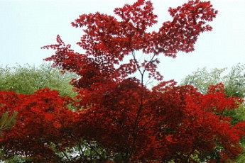 10월 축제 일정…단풍 구경? 축제 열리는 '이곳'으로 가자