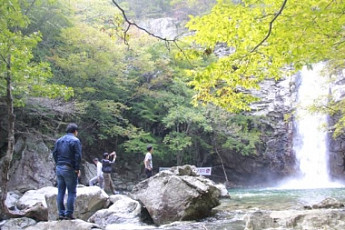 [나무와 힐링]영남의 알프스 '신불산'