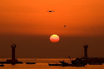 푸른 말의 해… 여기서 소원을 말~ 해봐…추천 새해 일출 명소