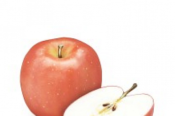 사과 칼로리 2탄, <b>바나나 칼로리</b>는 사과 약 2배?