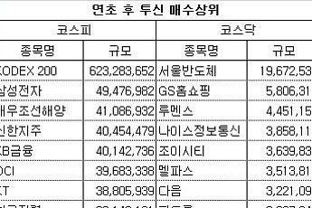 [이슈 따라잡기]증시 ‘방어막’ 투신, 삼성전자·대우조선해양 샀다