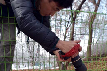 [포토] 봄 소식 전하는 '복수초'