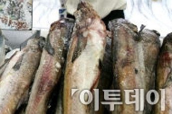 ‘생생정보통’ 최가네 동태찜 동태불고기 “동태 맛 제대로네”