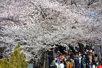 사진 찍기 좋은 명소 25곳...