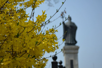 [포토뉴스] 노란옷으로 갈아입은 봄의 전령