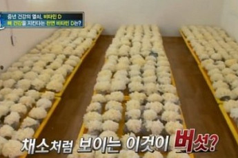 흰목이버섯의 엄청난 효능 