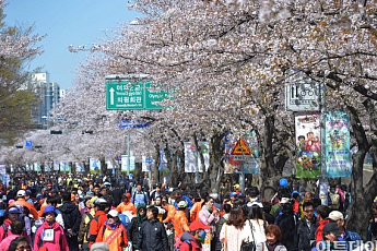 [<b>봄꽃길</b> 걷기대회] 식전 행사에 시민들 웃음꽃 만발