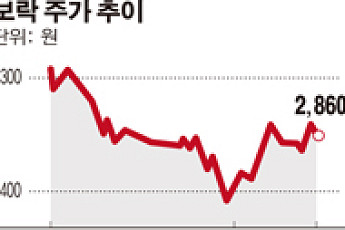 [SP] 보락, 형제끼리 블록딜 한 사연은