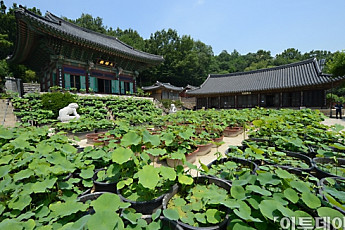 [장세영의 서울 숨은그림찾기] 천년의 역사가 숨어 있는 태고종의 총본산 ‘봉원사’