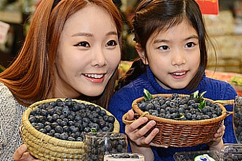 7월 제철음식…몸에 좋은 슈퍼푸드 다 모였네