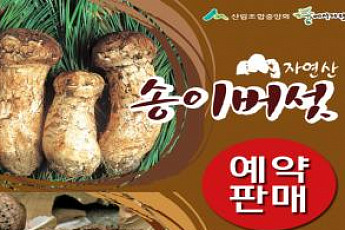 산림조합중앙회 임산물유통센터, 자연산 송이·능이버섯 예약판매 실시
