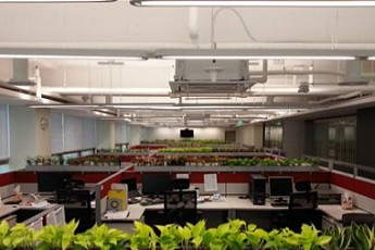 원예치료, 이젠 치유농업으로…농촌힐링, 농진청이 앞장선다