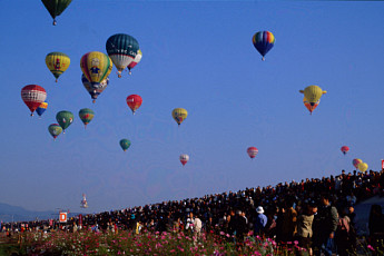 사계절 내내 축제로 가득한 곳, 일본 사가현으로 떠나요
