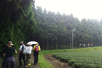 규슈 올레 사가현 코스 걸으면 몸도 마음도 힐링