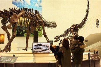 [설레는 설/구경거리] 전국 방방곡곡 박물관이 살아있다!