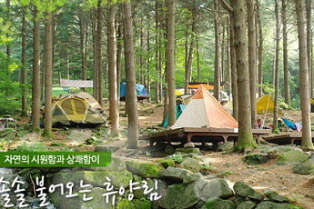 국립자연휴양림 추첨제 예약 접수 시작 '전국 38개 휴양림 대상'