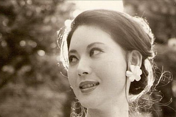 26일 별세한 진도희(김태야)는 어떤 배우?..애로배우 진도희(김은경)와 다른 연기자