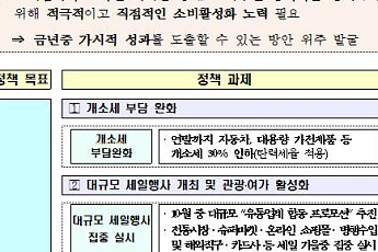 [소비촉진대책]노령층 소비불안 잡아라...주택연금 조건 풀고 가격한도도 폐지