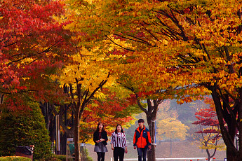 가을에 듣기 좋은 노래 모음, 윤도현부터 이은미까지… 짱짱 라인업