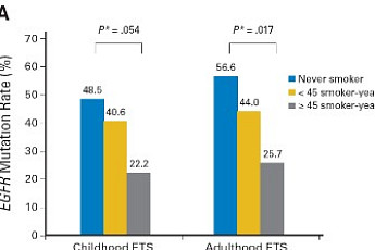 “간접흡연 폐암환자, 치료제 효과도 낮다”