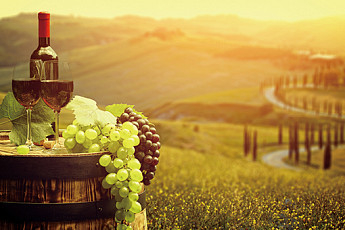 [장홍의 와인여행] 와인을 마시면 건강하게 장수한다?...프렌치 패러독스