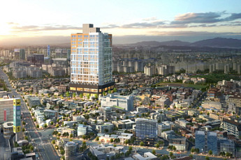 혼자 사는 집에 호텔급 옵션이 담겨..'주목'