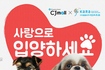[오늘의 이벤트&할인] CJ몰 유기 동물 신년 이벤트, 신라면세점 새해 맞이 행운 이벤트 등
