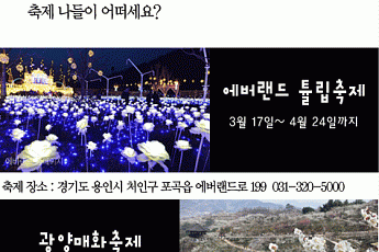 [카드뉴스] 이번 주말 ‘봄꽃축제’ 어떠세요?