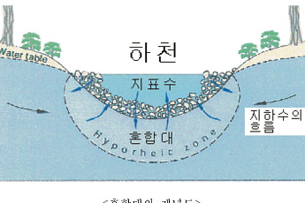 희귀 옛새우 신종 14종, 국내 하천에서 발견