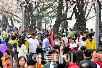 [포토] '벚꽃엔딩'