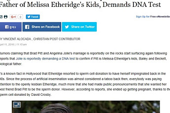 안젤리나 졸리, '정자 제공 설' 브래드 피트에 DNA 검사 요구