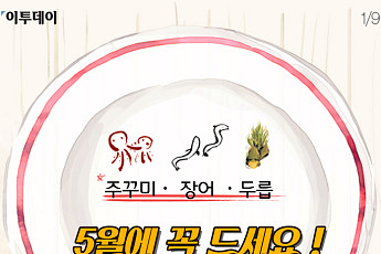 [카드뉴스 팡팡] 주꾸미·장어·두릅… 5월에 꼭 드세요
