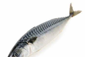 최악의 '미세먼지' 농도…고등어가 주범? 진짜 주범은 따로