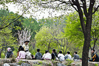 국립자연휴양림, 추첨에 대거 모여 